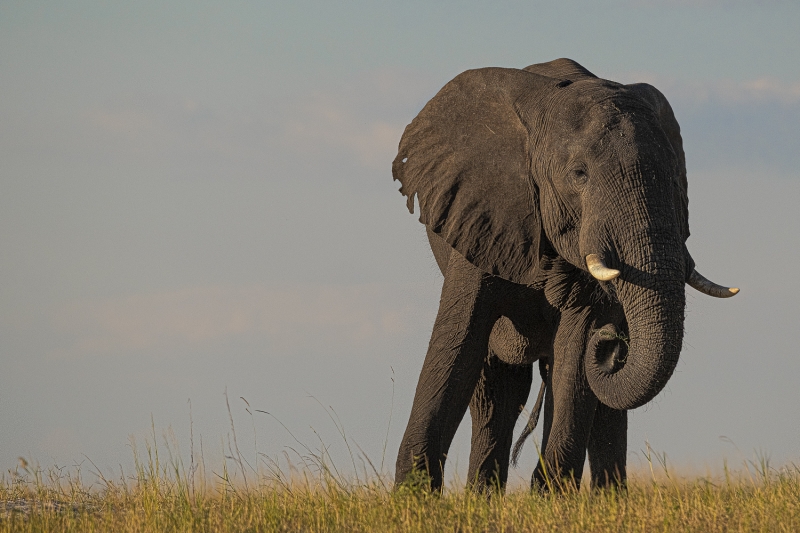 Botswana-9263-Edit