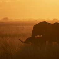 Botswana-0657