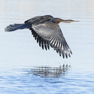 Botswana -2352-Edit