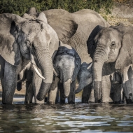 Botswana -3960-Edit-2