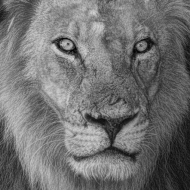 Botswana -5280-Edit