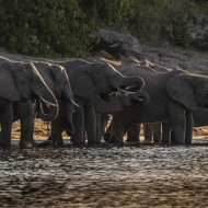 Botswana -6214