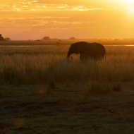 Botswana -7799