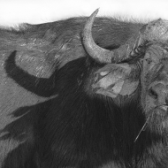 untitled-1720-Edit-Edit