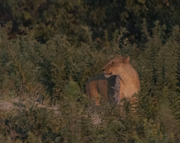 Botswana -4243
