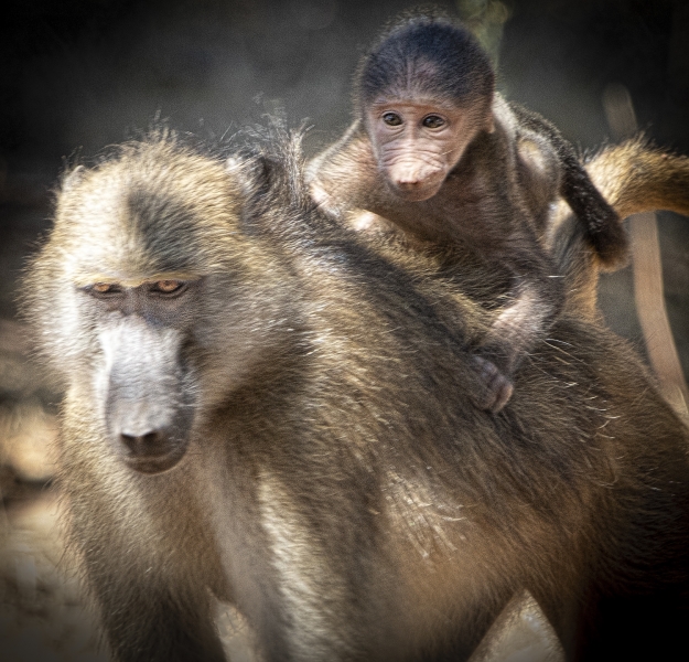 Botswana -4985-Edit