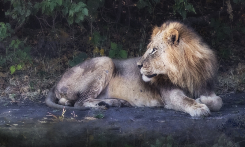 Botswana -5220-Edit