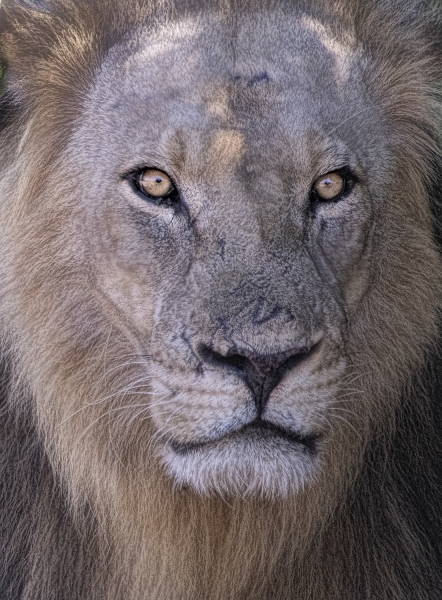 Botswana -5280-Edit