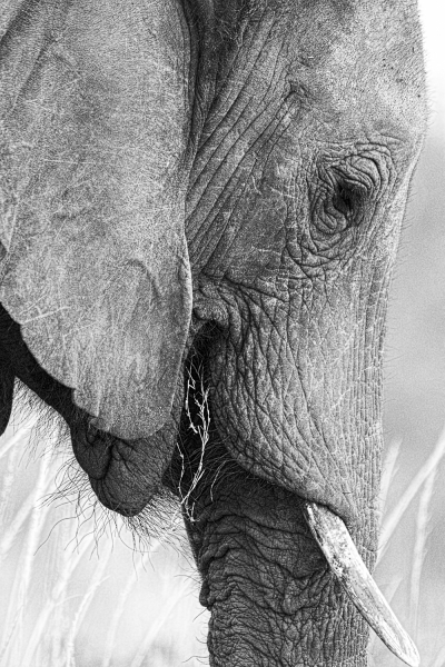 Botswana -5637-Edit