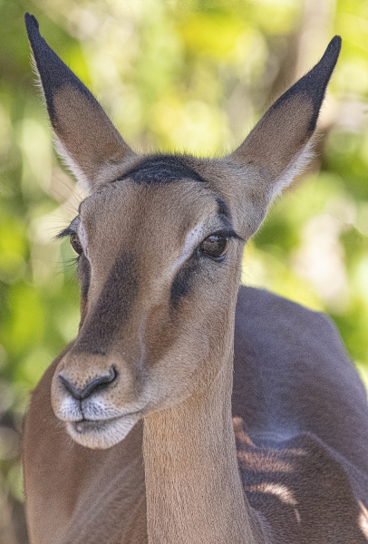 Botswana -6751-Edit