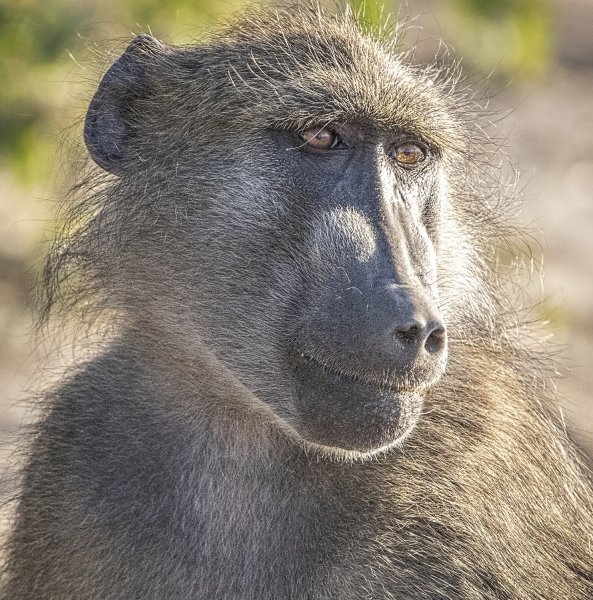 Botswana -7341-Edit