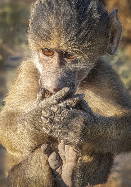 Botswana -7352-Edit