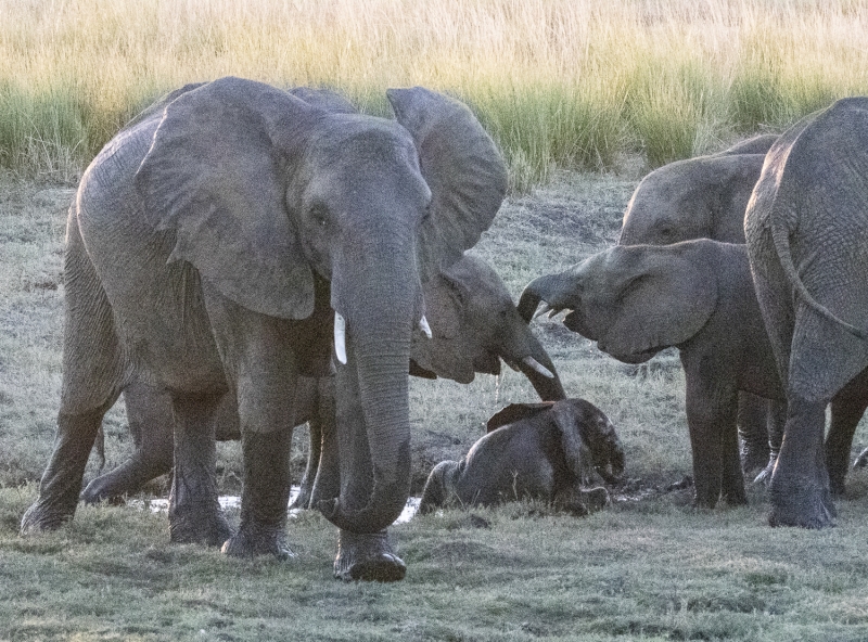 Botswana -7714