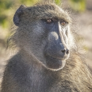 Botswana -7341-Edit