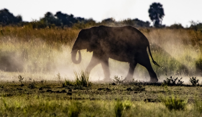 untitled-0765-Edit