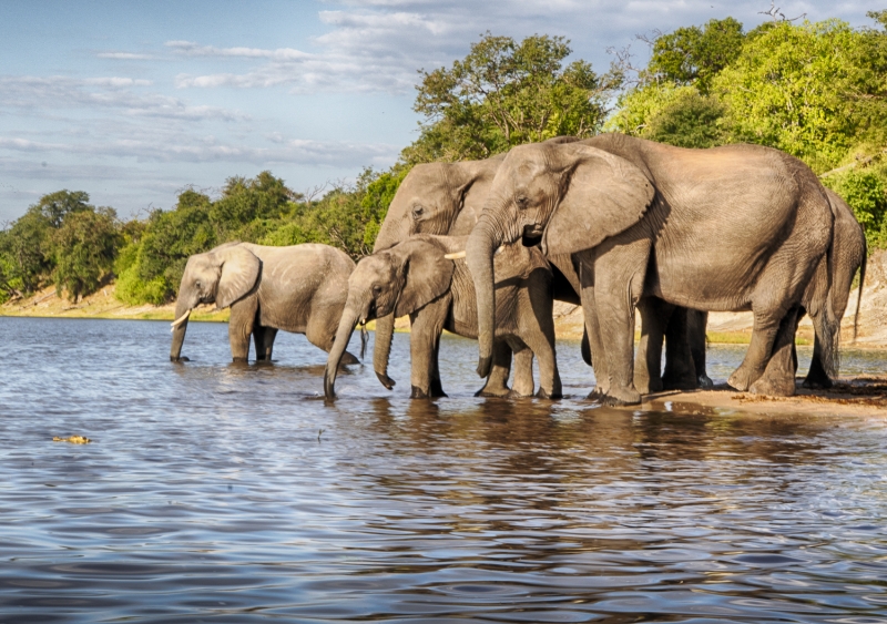 Botswana -00015_HDR