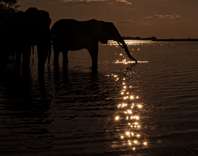 Botswana -00053
