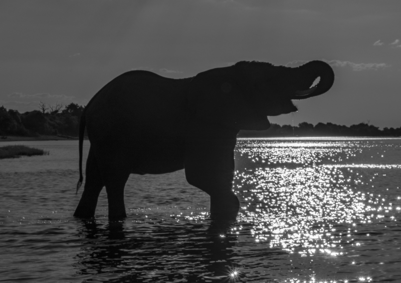 Botswana -00213