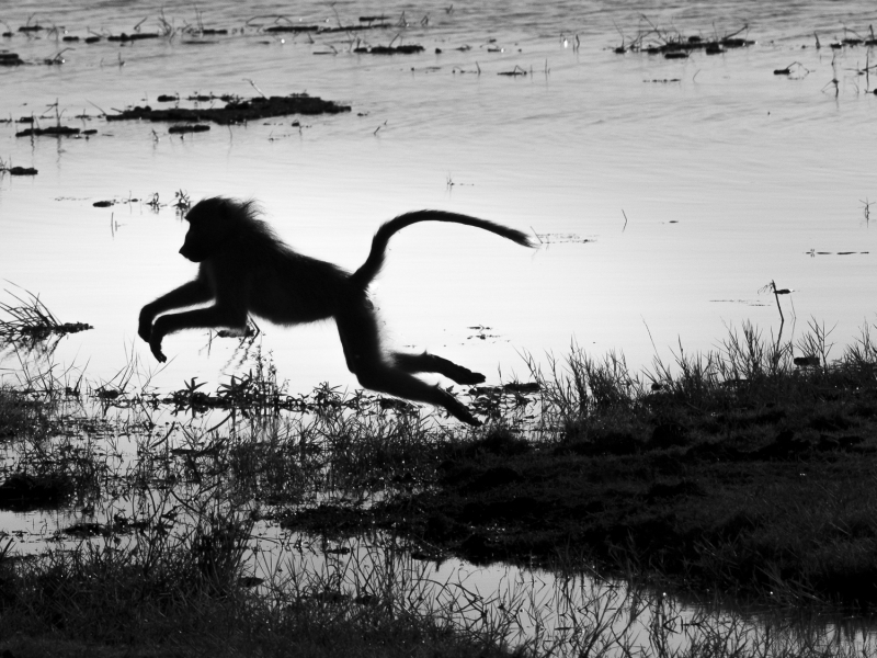 Botswana-0259