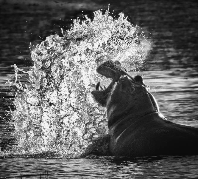 Botswana-0365