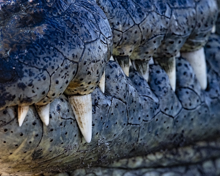 Botswana -3259-Edit