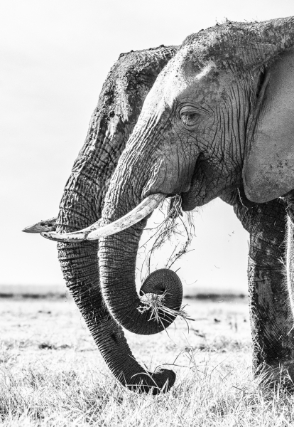Botswana -3755