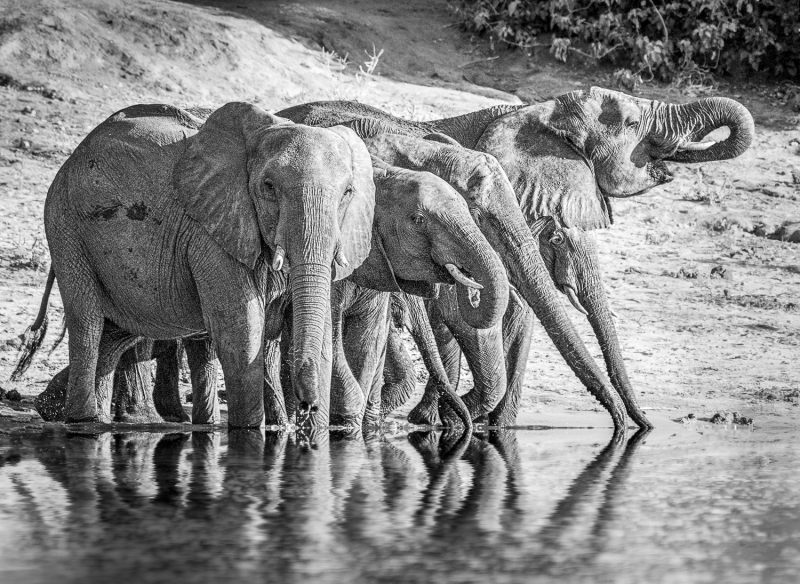 Botswana -3932-Edit-2