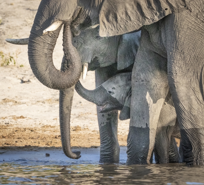 Botswana -3998