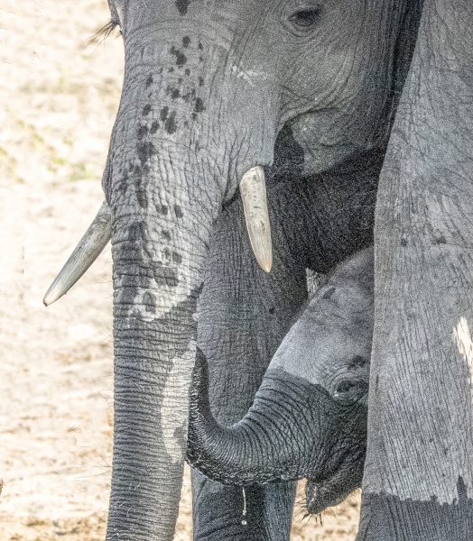Botswana -4006-Edit