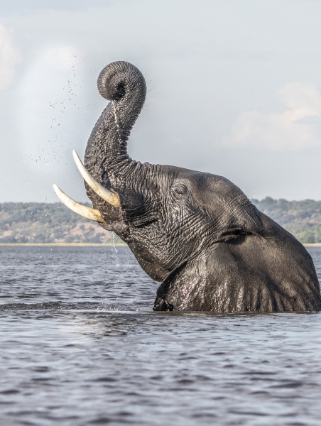 Botswana -5932