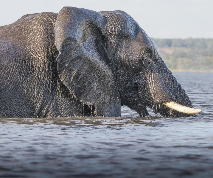 Botswana -6030-Edit
