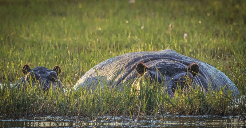 Botswana -6449-Edit