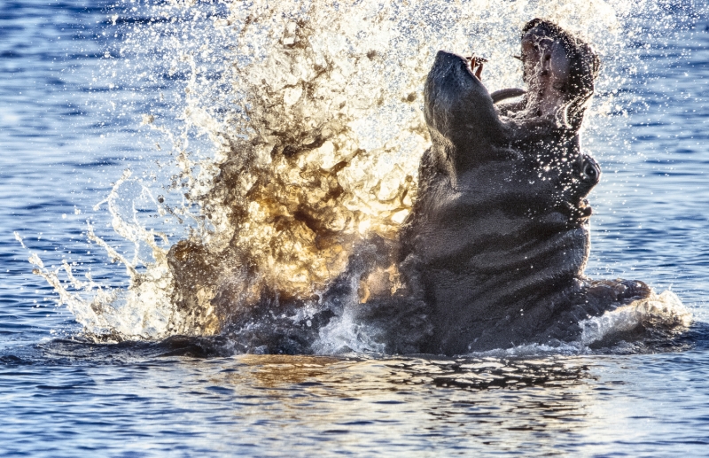 Botswana -7576-Edit-Edit