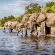 Botswana -00015_HDR