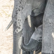 Botswana -4006-Edit