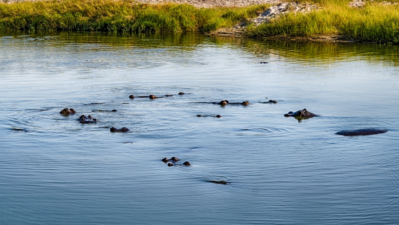 untitled-02041_HDR