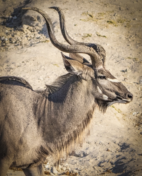 untitled-0506-Edit