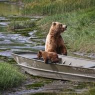 img_1543-edit