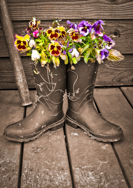 img_5669-edit-edit