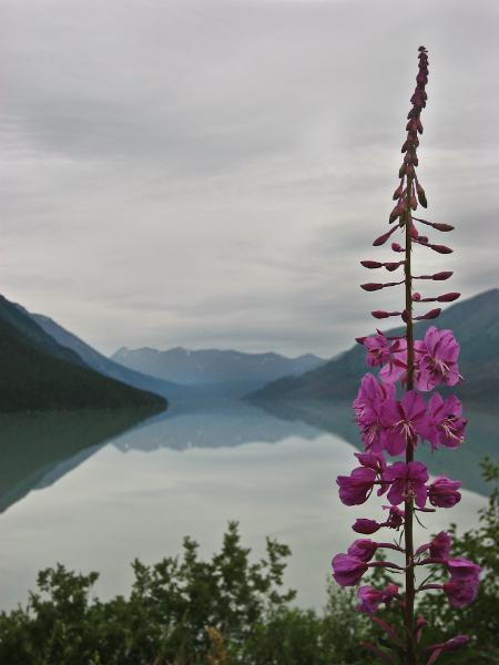 Kenai Lake