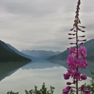 Kenai Lake