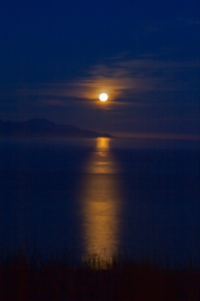 img_1824-edit
