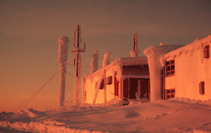 top-camp-2