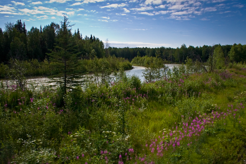 along-the-river