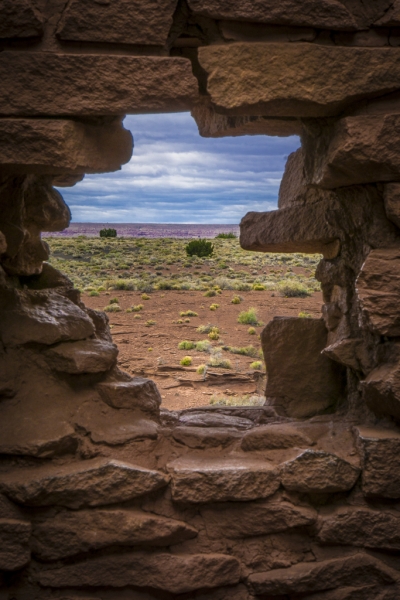 Arizona-4264