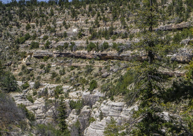 Arizona-4763