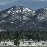Arizona-3928