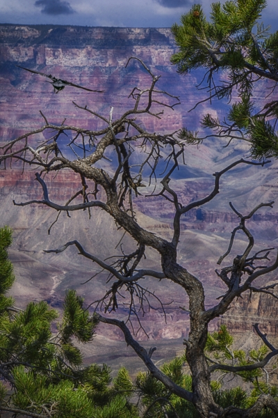 Arizona-3815_HDR-Edit