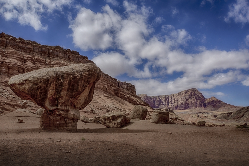 Arizona--10