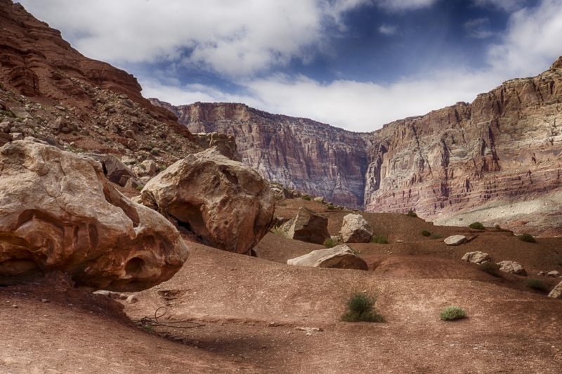Arizona--12